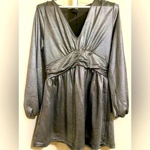 Pleione silver dress